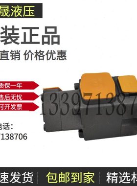 YLC 仙居永灵原装 叶片泵 PV2R21-59F1 17 19 23 25 28 31F1 F