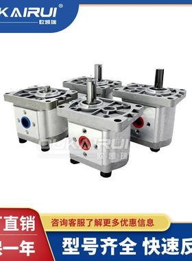 齿轮液压油泵总成CBT-F310CBN-F304/F306/F316/E314/320/325FER2