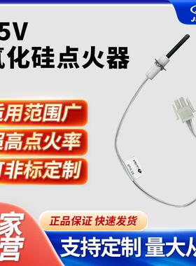 ACI1007-75M21通用炉热表面点火器带插头,圆形氮化硅热表面点火器