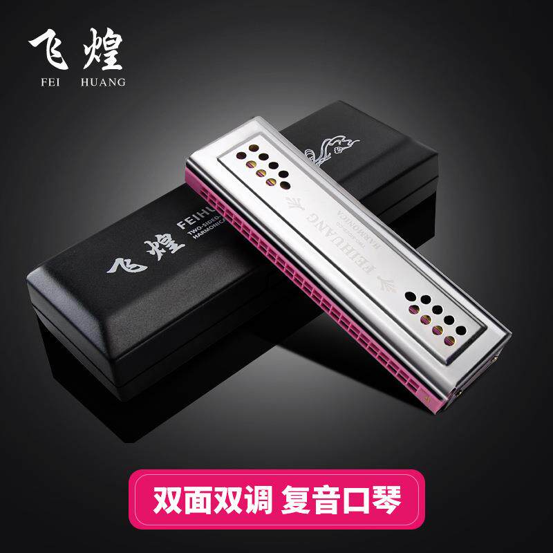 飞煌进口音簧24孔复音C/G调双面双调口琴成人儿童初学演奏口琴