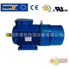 意大利Temporiti刹车马达 Temporit进口i电机 REBM100B4/2.2KW