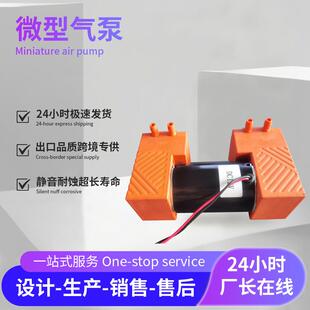 美容用吸黑头吸奶仪加湿器真空包装仪12V微型静音双头真空泵