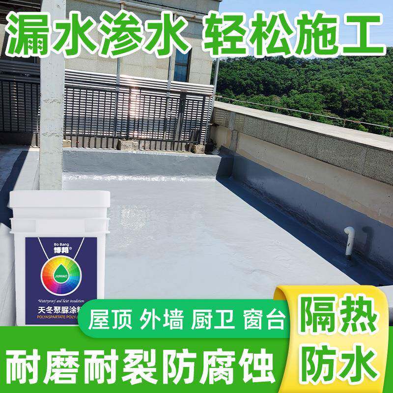 天冬聚脲免砸砖阳台外墙防水池补漏渗透剂裂缝楼顶屋面涂料防水胶