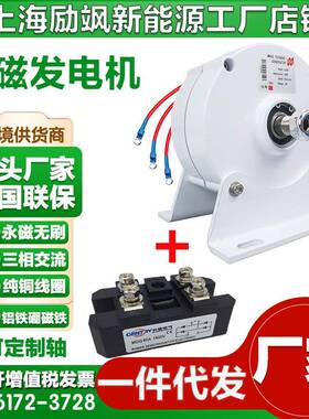 直销100W12v24v家用三相交流永磁同步发电机