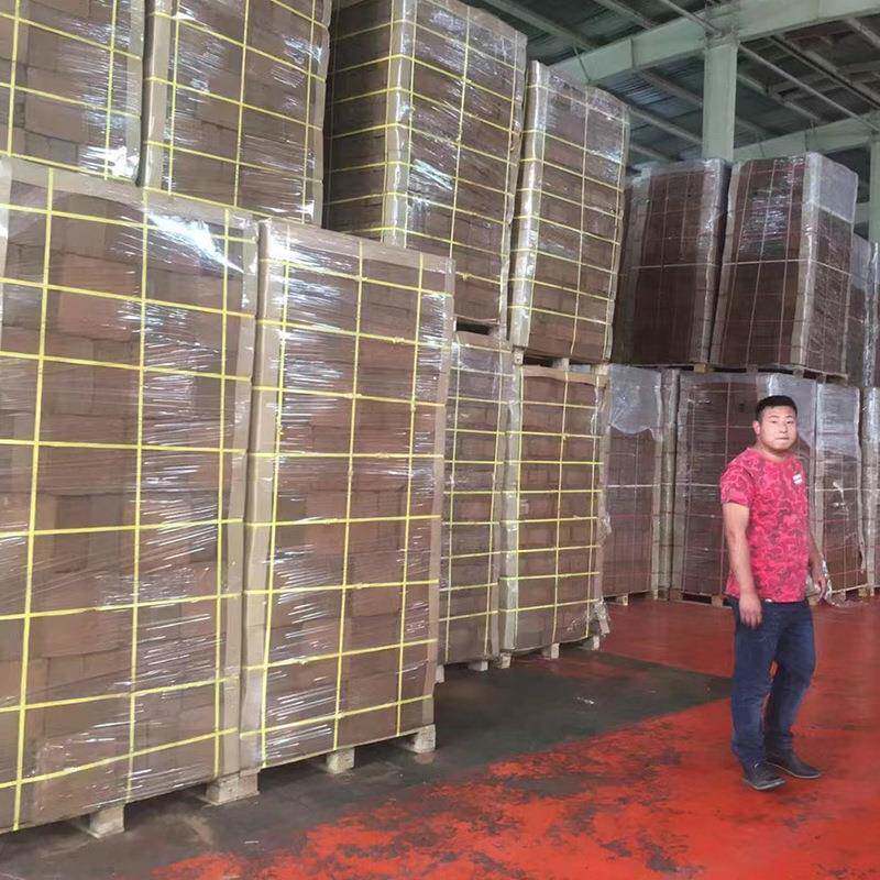 4.5公斤进口大椰砖椰土椰粉