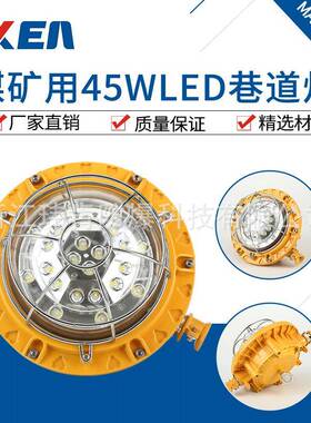 浙江玮肯20W24W36W48W巷道灯DGS20/127LDJS36