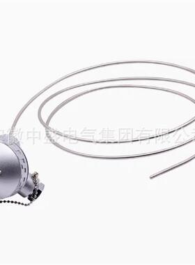 WZPK2WZPK-123SA/124/125/126/128铠装热电阻