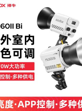 Godox神牛ML60IIBI手持补光灯双色温直播录制发丝灯便携LED外拍