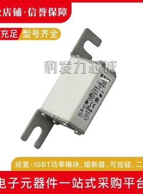 170M1363/1364/1365/1366/1367/1368/1369/1370/1371/1372熔断器