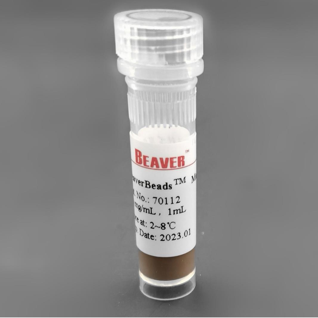 Beaver 海狸链霉亲和素磁珠HS300 1ml 22311-1