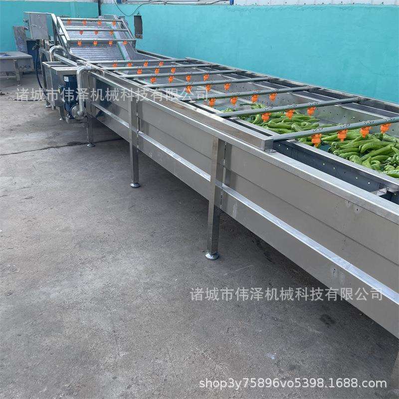 青椒红椒蔬菜气泡清洗机 全自动喷淋洗菜机 水果清洗流水线
