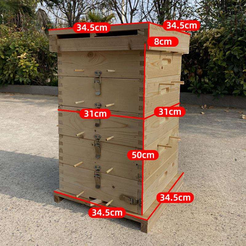 蜜蜂箱格子箱中蜂土养格子箱蜜蜂养殖工具诱蜂桶全套杉木烘干煮蜡