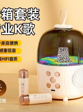 Q3音箱麦克风户外便携迷你双麦K歌氛围灯唱歌一体机家庭KTV
