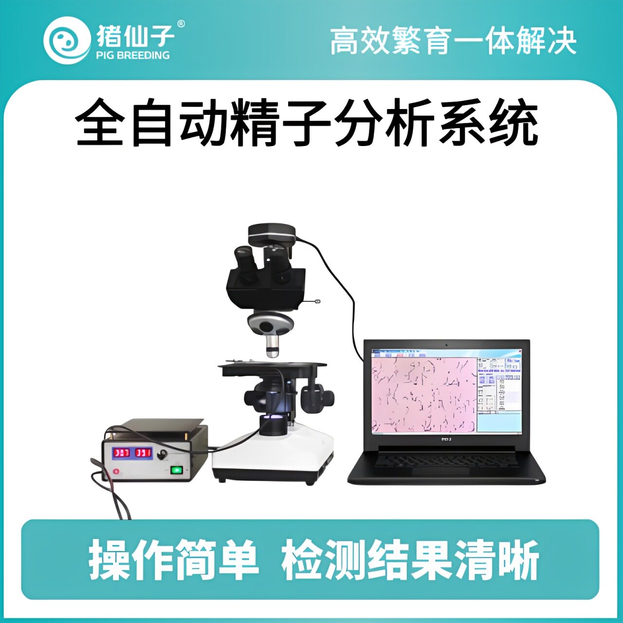 猪仙子猪精液质量全自动分析系统ZXZ-1001