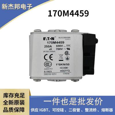 170M8629170M8630170M8631170M8632原装快速熔断器保险丝