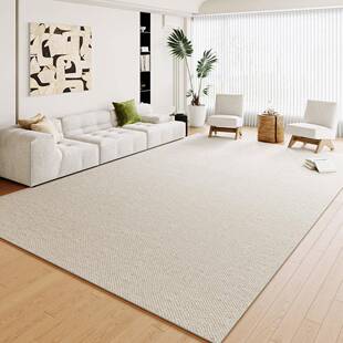 法式地毯客厅免洗可擦家用大面积地毯轻奢高级感2023新款卧室地垫