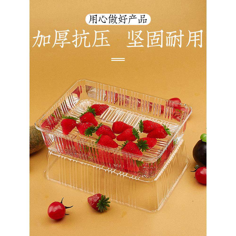 一次性无盖水果包装盒草莓盒菠萝蜜加厚透明一斤装水果打包盒