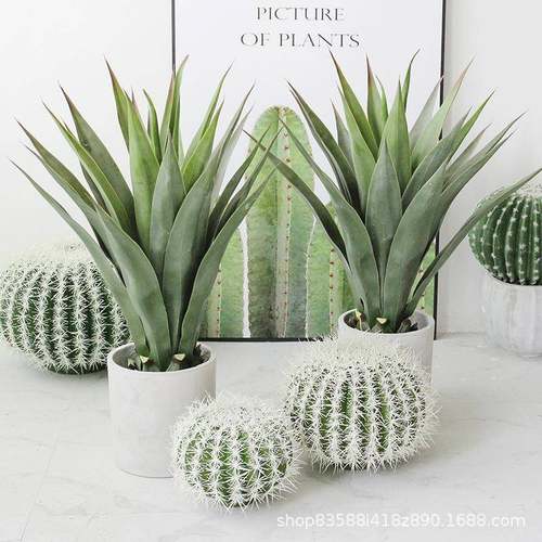 仿真龙舌兰剑兰剑麻热带雨林沙漠绿植物装饰造景落地摆件橱窗陈列