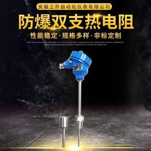 供应现场显示一体化隔爆温度仪表防爆双支热电阻WZP2 240