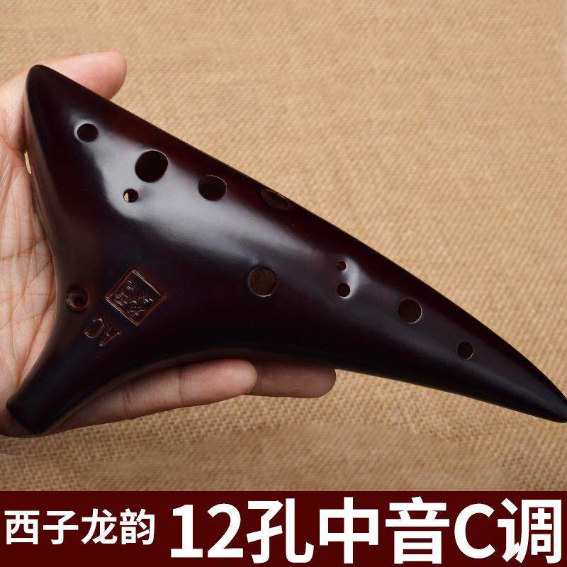 陶笛12孔初学者入门中音C调十二AC儿童小学生成人入门专业乐器