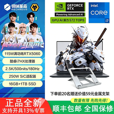 机械革命极光X蛟龙16PRO电脑