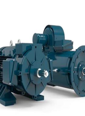 供应德国AKH特种电机355M/L