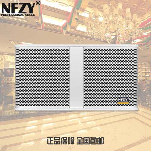 NFZYLS-10卡拉OK吊装KTV扬声器会议舞蹈房定阻壁挂白色音箱