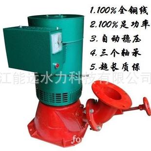 3kw励磁斜击式小型水利发电机微型水流发电机水轮机