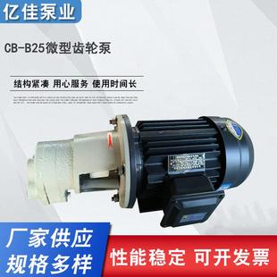 齿轮泵油泵CB B微型齿轮油泵亿佳机床齿轮泵小型液压油泵
