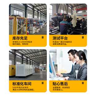 工业电力高压柴油发电机组10.5 kv11kv6.5kv高压发电机厂家