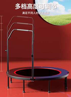 天之鑫蹦蹦床运动健身成人儿童室内家用小孩蹭蹭床户外弹跳床跨境