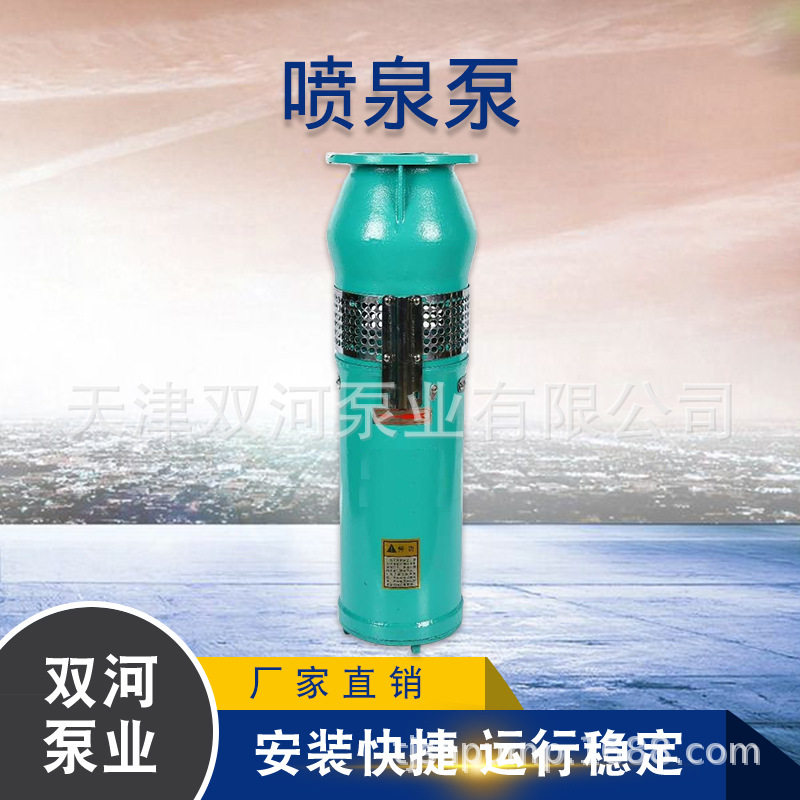 QSP喷泉泵304喷泉泵景观喷泉专用泵景观喷泉泵不锈钢喷泉泵