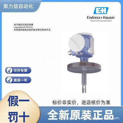 FTL31-AA4U3BAWSJ 恩德斯豪斯E+H 音叉液位开关 压力变送器 电极
