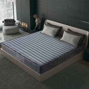 大厂直销山羊绒床垫厚20cm冬夏两用床垫一米五床垫硬软俩用3d床垫