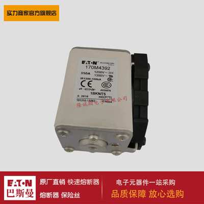熔断器170M4312 170M4313 170M4314 170M4315 170M4316 170M4317