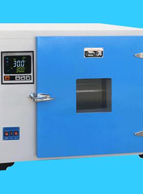 300℃电热恒温鼓风干燥箱450*550*550101A-2B鼓风恒温干燥箱