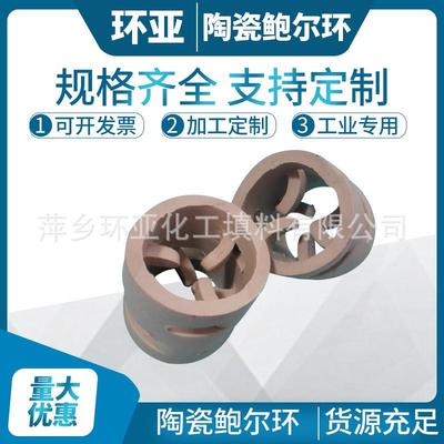 陶瓷鲍尔环现货萍乡人的骄傲填料之乡环亚制造