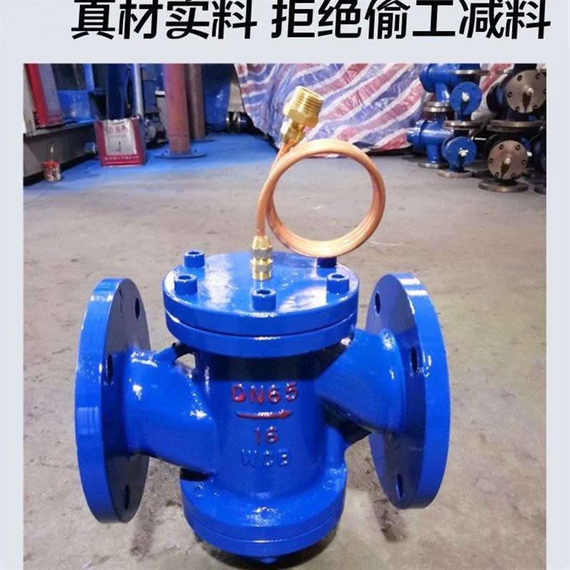 常温空调水球墨铸铁ZYC动态旁通阀 法兰自力式压差控制阀dn200