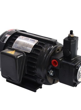 液压叶片泵PV2R1-10 12 14 17 19 23 252831-F-1R油泵PV2R2压力泵