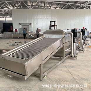 小龙虾清洗机花菜气泡清洗机山野菜气泡清洗速冻加工设备包安装