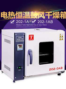 天津泰斯特 202-0AB/202-1AB 电热恒温干燥箱 实验室烘箱烤箱