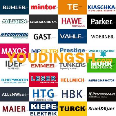 法国Automation 2000 真空注油800KVA变压器DGPT2温度保护装置