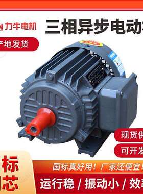 现货供应三相异步电机Y100L1-4级2.2KW Y112M2-4级-4KW