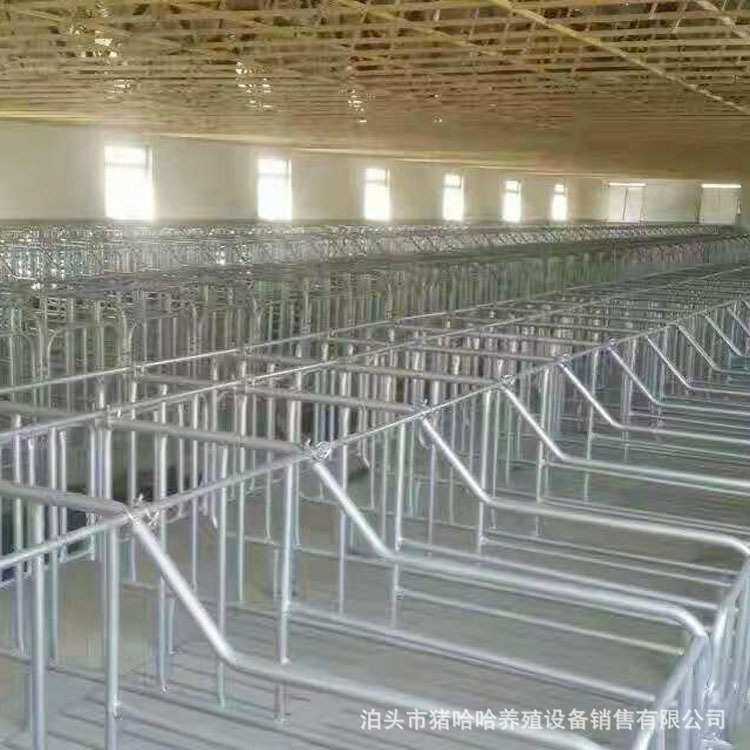 养殖场用单体定位栏养猪设备母猪产床单体双体小猪产床妊娠栏机械