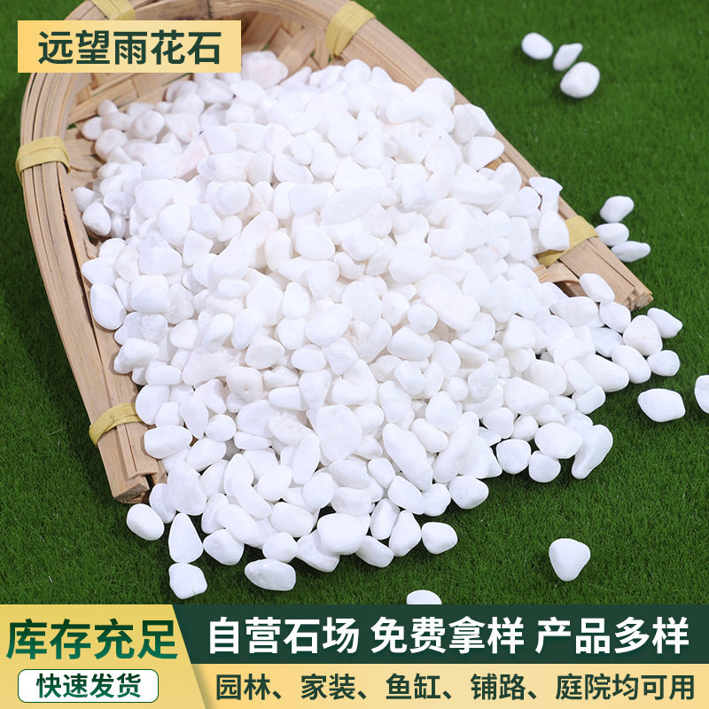 雪花白多肉盆栽铺面白色机制鹅卵石鱼缸造景工程铺路装饰小石子