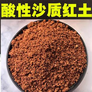 酸性沙质红土黄土壤南方高山土田园土通用土种花种菜花泥土土