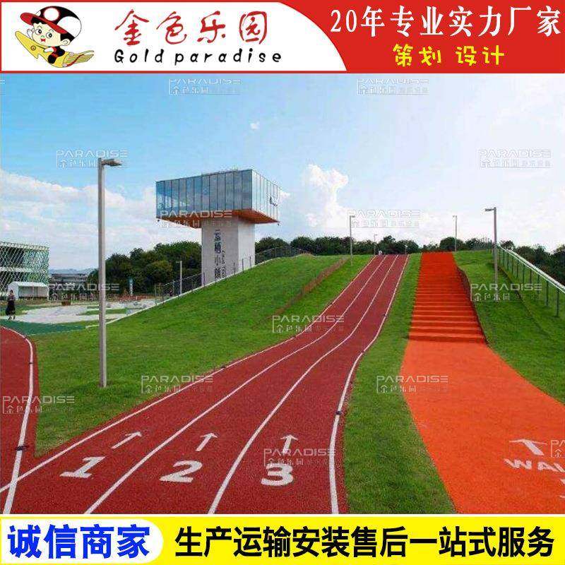 STPD-2219学校运动操场塑胶跑道全透气型跑道塑胶跑道施工图