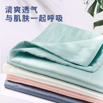 贡缎天丝枕头套夏季双人一对情侣枕套柔软不掉毛法国轻奢家用卧室