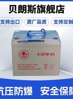 Torch/火炬蓄电池6-GFM-85 12V85Ah 免维护动力电池  全国联保