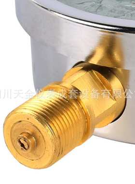 红旗抗震压力表YTN-100充硅油压力表0~60MPA耐震水压表径向气压表